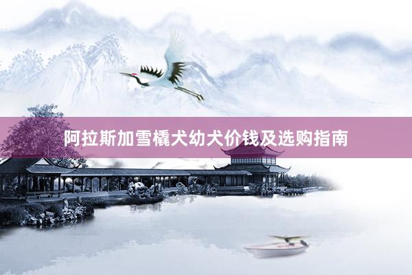 阿拉斯加雪橇犬幼犬价钱及选购指南