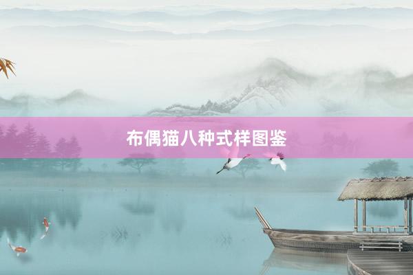 布偶猫八种式样图鉴